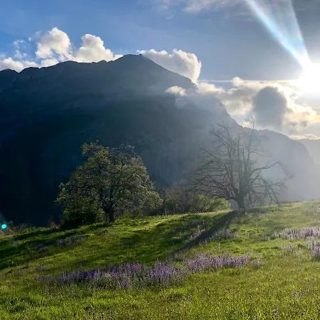 La Cuna Del Sella 2* Oseja de Sajambre